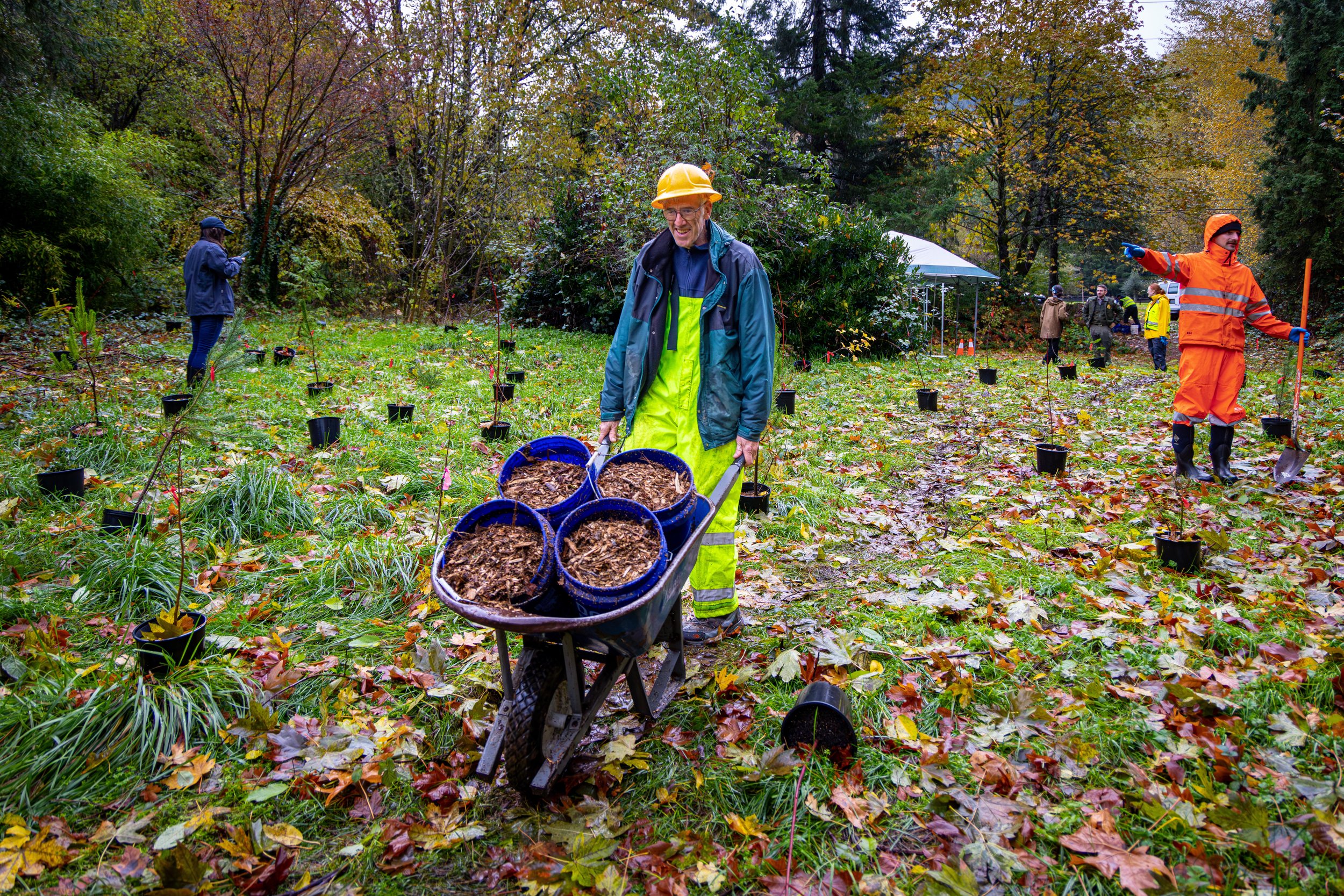 Issaquah Miyawaki Pocket Forest — Issaquah Alps Trails Club